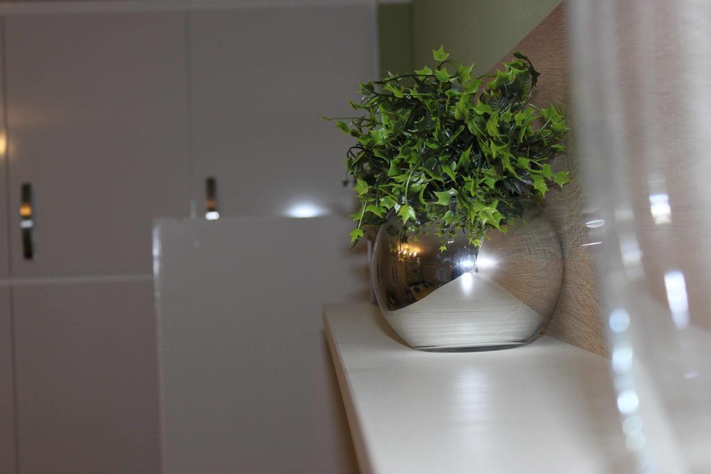 זאדאר Apartment Evergreen מראה חיצוני תמונה